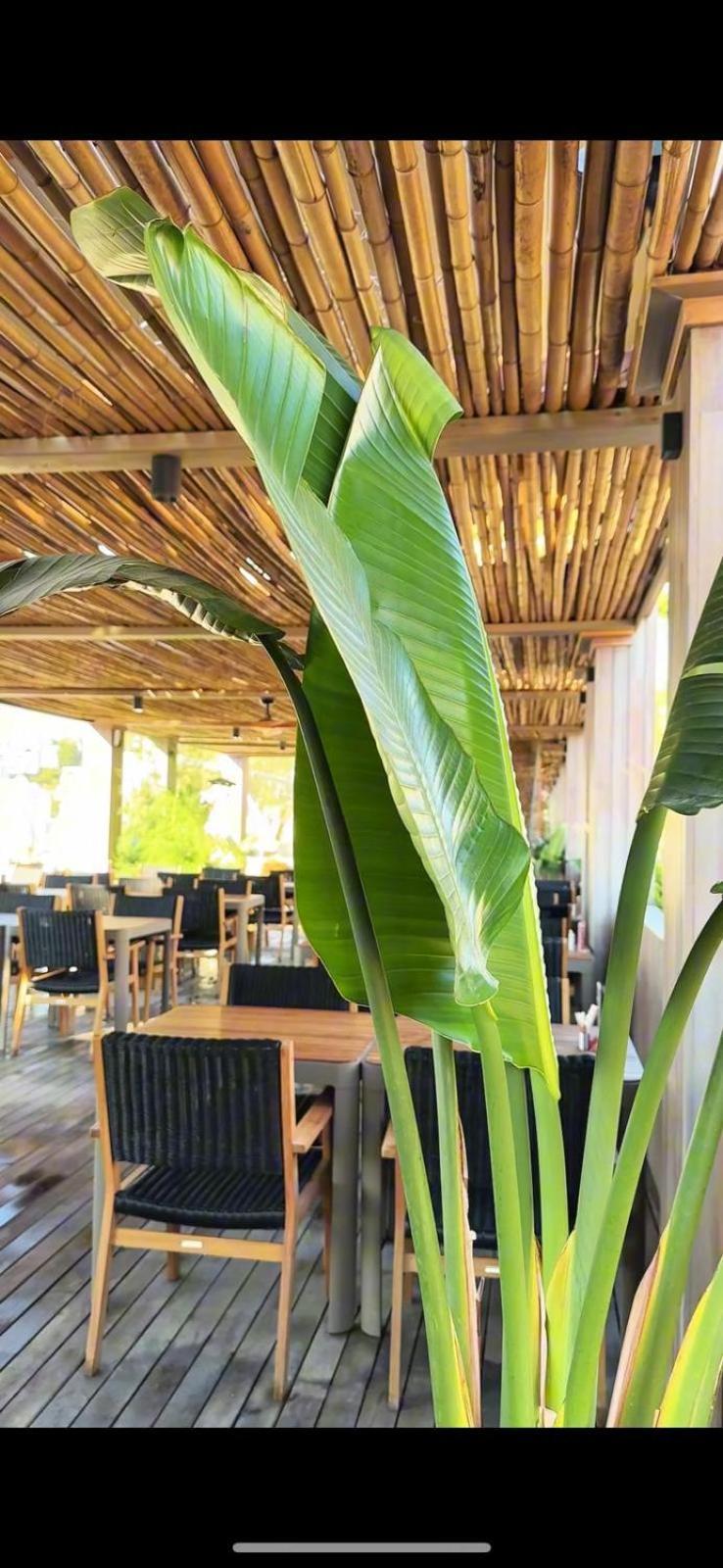 Sea Soul Hotel Bodrum Luaran gambar